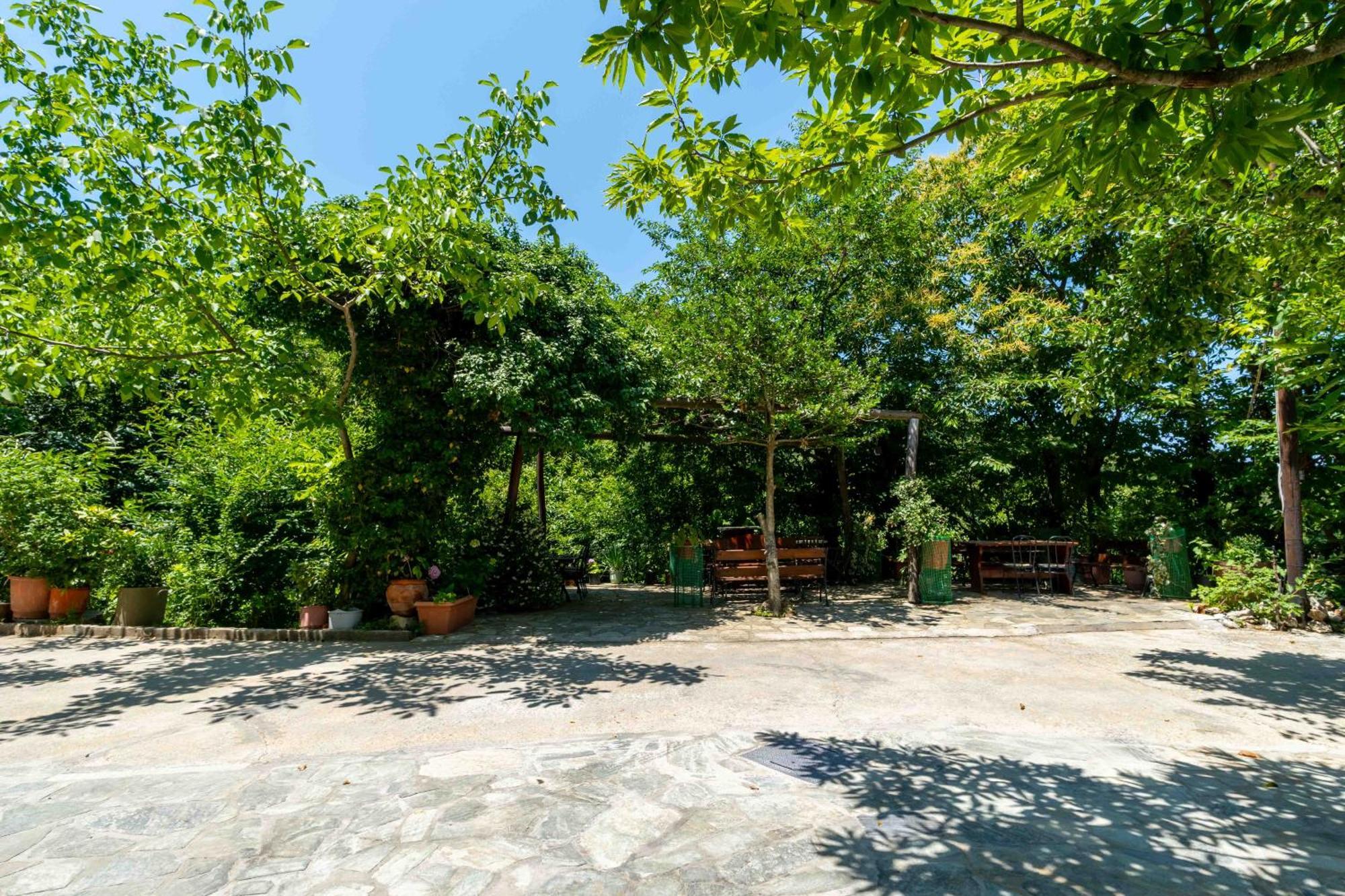 Guesthouse Papachristou Цагарада Екстериор снимка